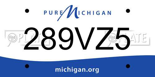 289VZ5 Michigan License Plate