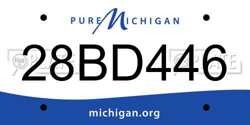28BD446 Michigan License Plate