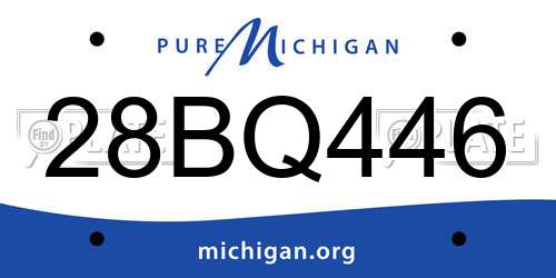 28BQ446 Michigan License Plate