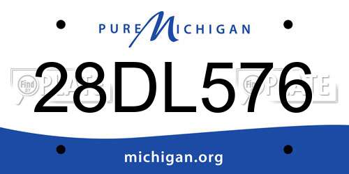 28DL576 Michigan License Plate