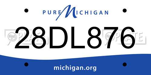 28DL876 Michigan License Plate