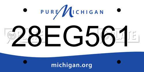 28EG561 Michigan License Plate