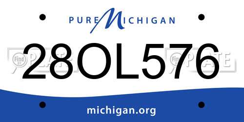 28OL576 Michigan License Plate