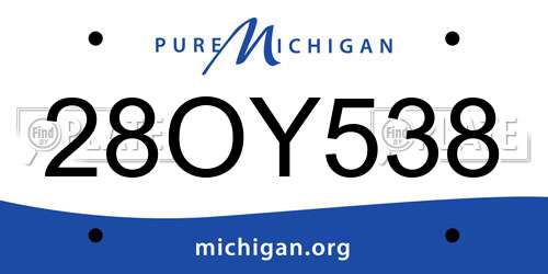 28OY538 Michigan License Plate