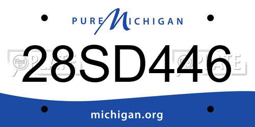 28SD446 Michigan License Plate