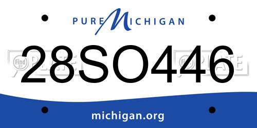 28SO446 Michigan License Plate
