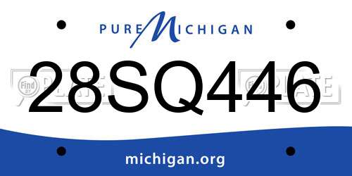 28SQ446 Michigan License Plate