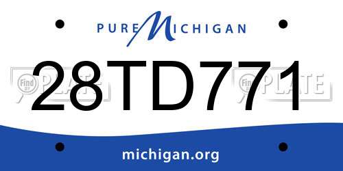 28TD771 Michigan License Plate
