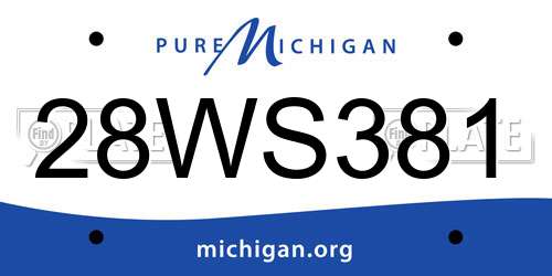 28WS381 Michigan License Plate