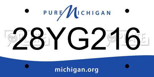 28YG216 Michigan License Plate