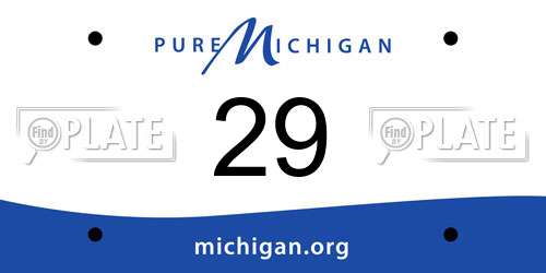 29 Michigan License Plate