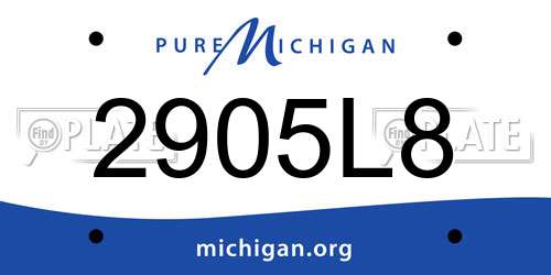 2905L8 Michigan License Plate