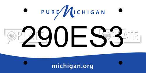 290ES3 Michigan License Plate