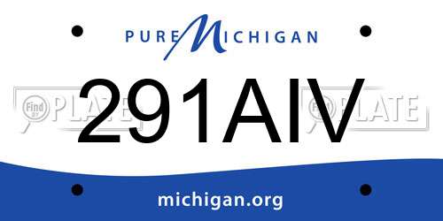 291AIV Michigan License Plate