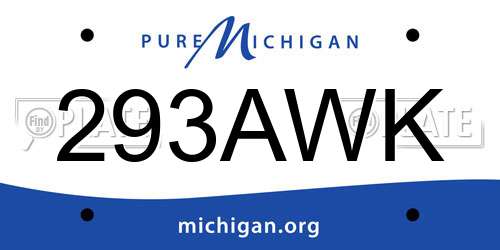 293AWK Michigan License Plate