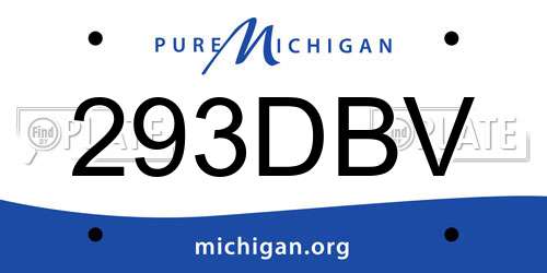 293DBV Michigan License Plate