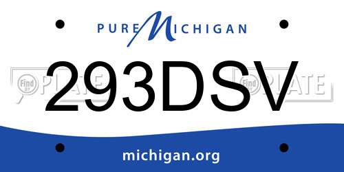 293DSV Michigan License Plate