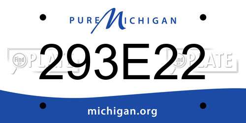 293E22 Michigan License Plate