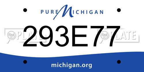 293E77 Michigan License Plate