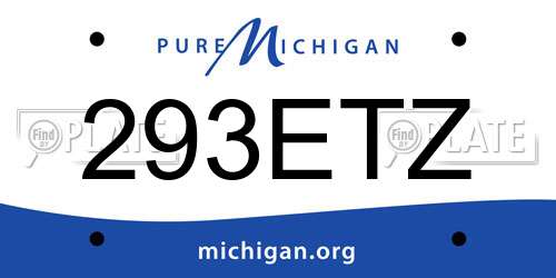 293ETZ Michigan License Plate