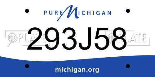 293J58 Michigan License Plate