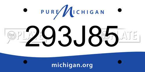 293J85 Michigan License Plate