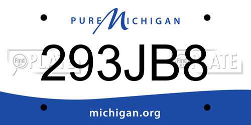 293JB8 Michigan License Plate