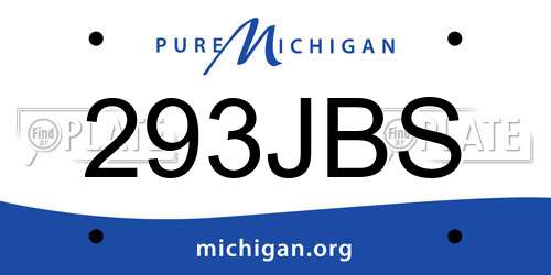 293JBS Michigan License Plate