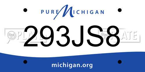 293JS8 Michigan License Plate