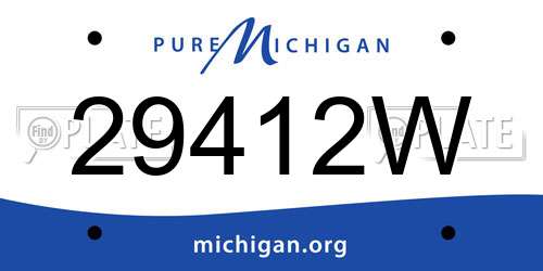 29412W Michigan License Plate