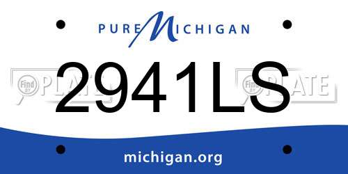 2941LS Michigan License Plate