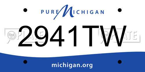 2941TW Michigan License Plate