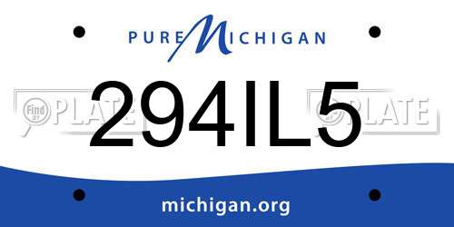 294IL5 Michigan License Plate