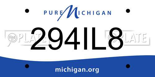 294IL8 Michigan License Plate