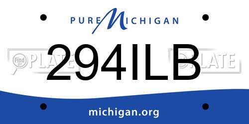 294ILB Michigan License Plate