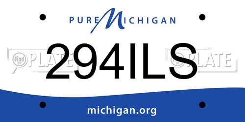 294ILS Michigan License Plate