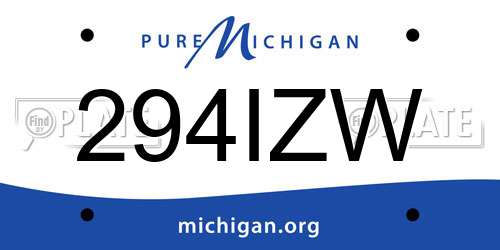294IZW Michigan License Plate