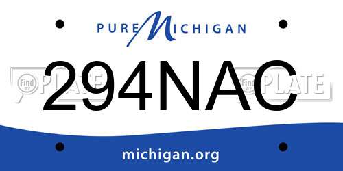 294NAC Michigan License Plate