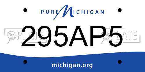 295AP5 Michigan License Plate