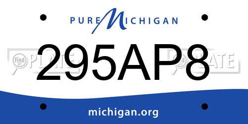 295AP8 Michigan License Plate