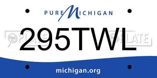295TWL Michigan License Plate