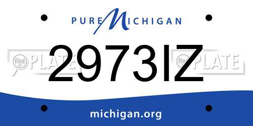 2973IZ Michigan License Plate