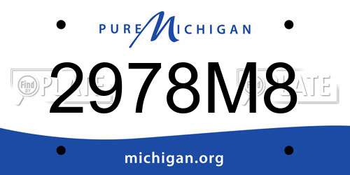 2978M8 Michigan License Plate