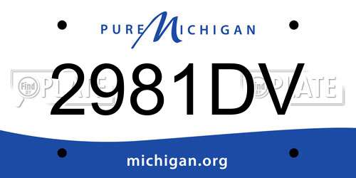 2981DV Michigan License Plate