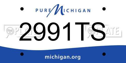 2991TS Michigan License Plate