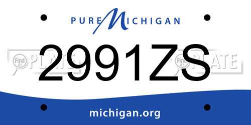 2991ZS Michigan License Plate
