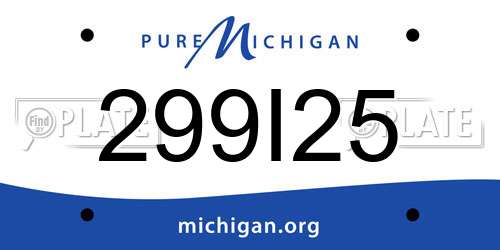299I25 Michigan License Plate