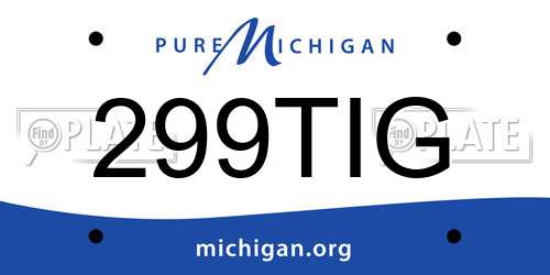 299TIG Michigan License Plate