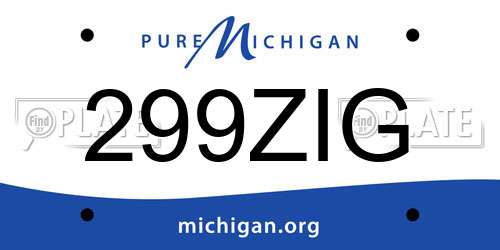299ZIG Michigan License Plate