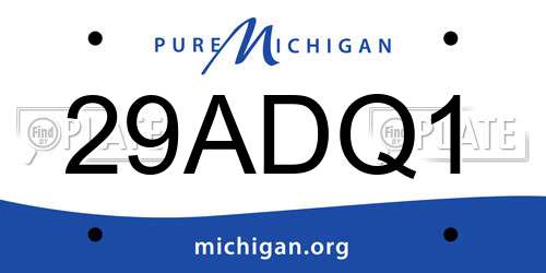 29ADQ1 Michigan License Plate